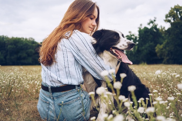 Vieillir en douceur : comment améliorer le confort de votre chien senior ?