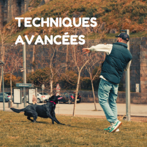 TECHNIQUES AVANCÉES
